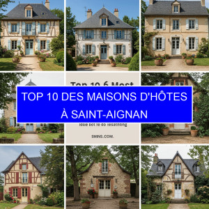 Top 10 des Maisons d'hôtes à Saint-Aignan