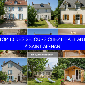 Top 1 des Séjours chez l'habitant à Saint-Aignan