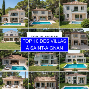Top 2 des Villas à Saint-Aignan